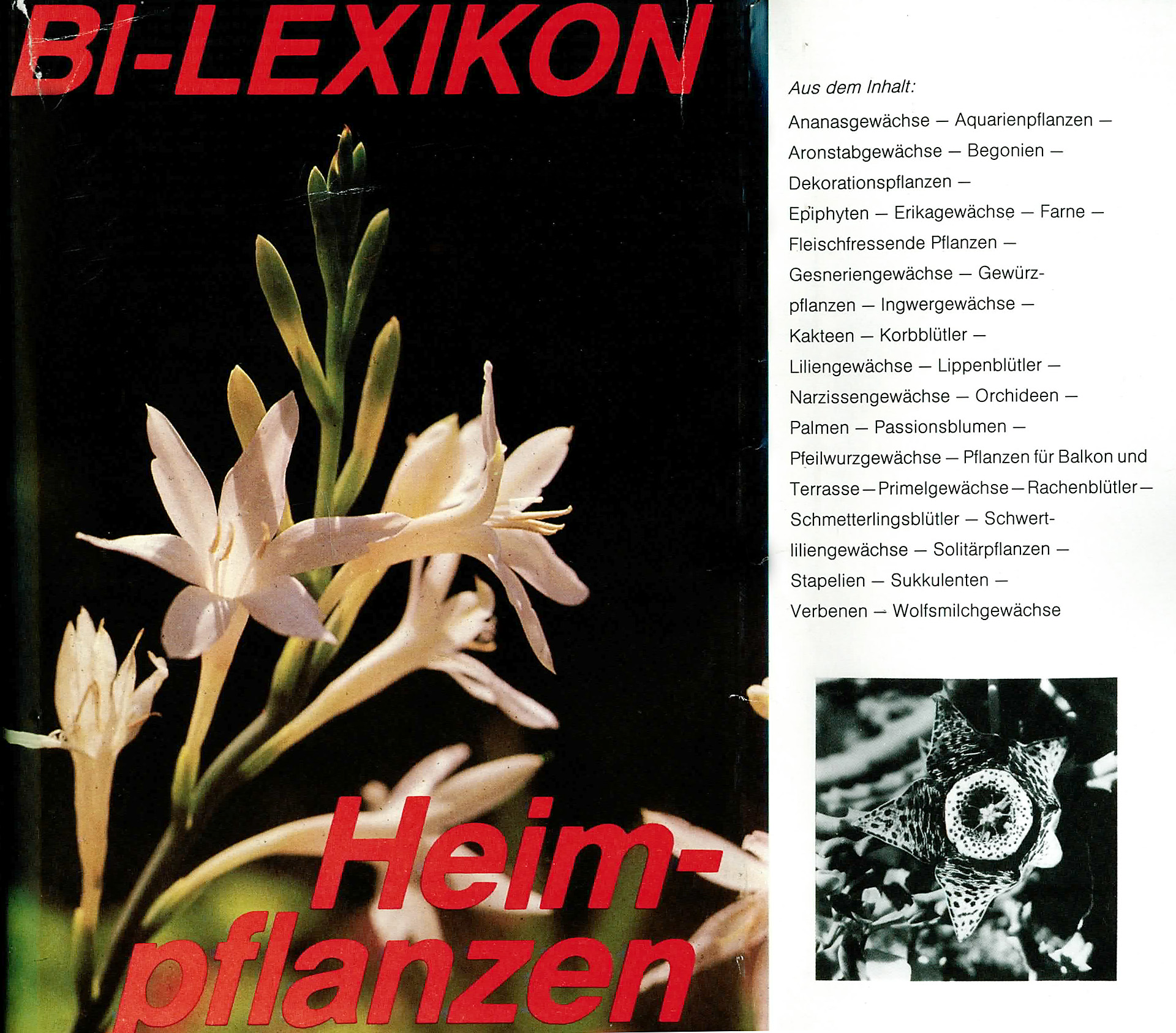 BI - LEXIKON Heimpflanzen - Jacob, Udo / Thomas - Petersen, Gudrun